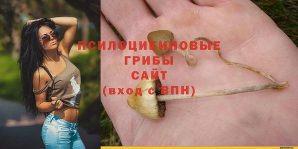 мескалин Алексеевка