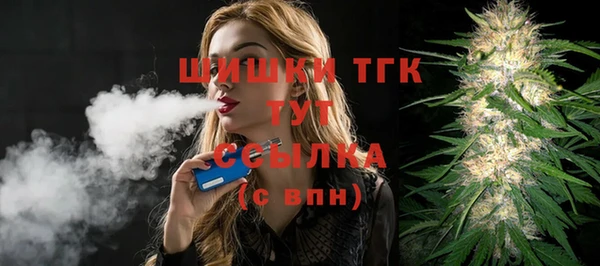 МДПВ Алексин