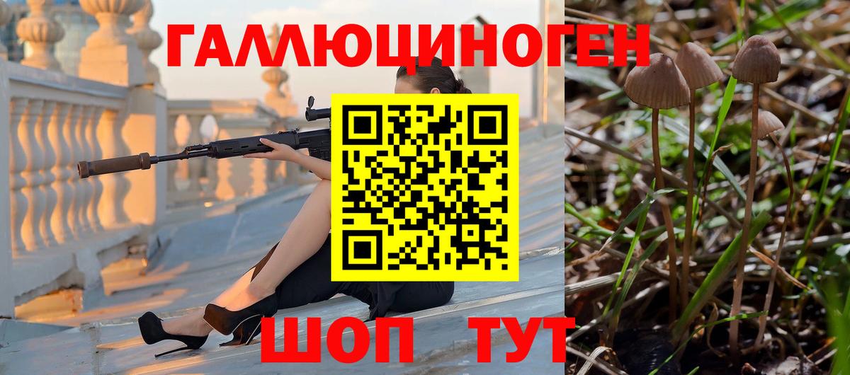Тосно  Псилоцибиновые грибы ЛСД  где можно купить наркотик  Псилоцибиновые грибы ЛСД  Вход с VPN 