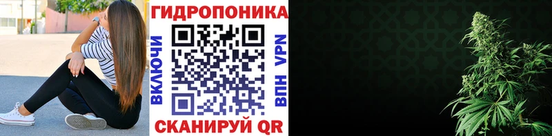 Каннабис семена  Тосно 